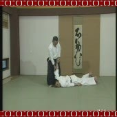 Shomen Uchi Kotegaeshi (2)